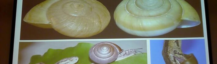 Jan Veselý – Chiralita a její význam pro život a chemii (Pátečníci 15.11.2019)