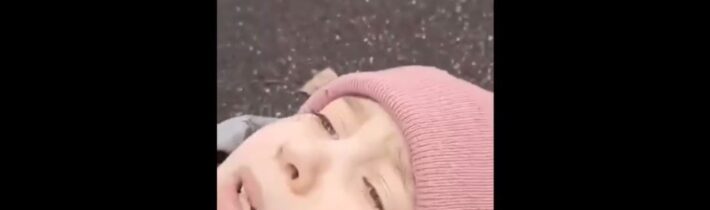 Odkaz českej Fialovej vláde