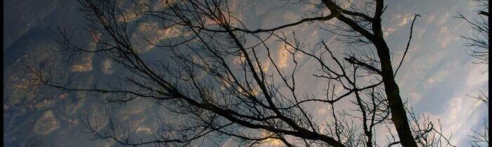 Bez Ozveny » Belobog