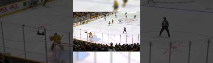 PAVEL ZACHA 19. GÓL V NHL SEZÓNA 2023/2024 #shorts #nhl #zacha #hokej #česko