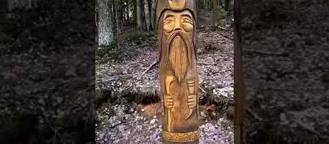 V lese sme na návšteve. Pekný deň Slovania