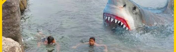 15 Nejděsivějších setkání se žralokem zachycených na kameru
