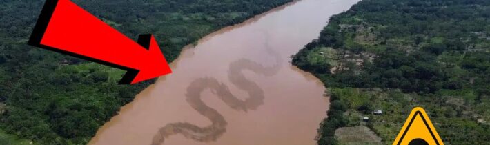 TOP 5 Proč Přes Amazonku Nevedou Žádné Mosty