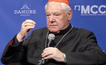 Kardinál Müller v rozhovore pre NatCon kritizuje rastúci "totalitarizmus": "Nie sme otrokmi štátu