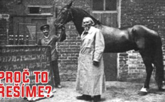 Geniální kůň Hans – Proč to řešíme? #1166