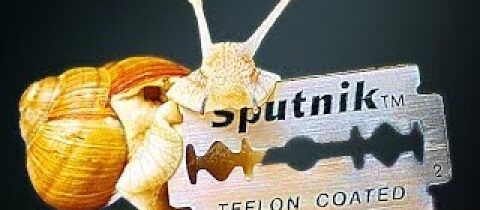 EXPERIMENT ŠNEK NA ŽILETCE!