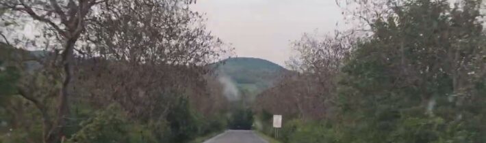 Letos asi budou Vánoce bez vlašských ořechů. Všechny stromy spáleny mrazem…