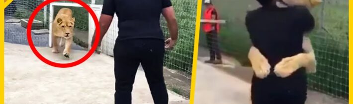 15 Setkání Zvířat S Majiteli Po Letech