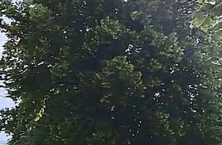 26/5 Dopoledník 9:52