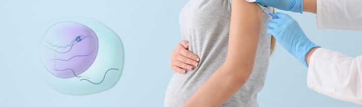 Vakcína mRNA proti covidu-19 se může „systémově šířit“ do placenty a k dětem žen očkovaných během těhotenství