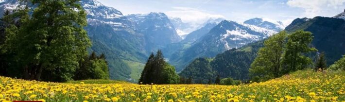 Dopoludnie na InfoVojne s Adrianom 15.5.2024