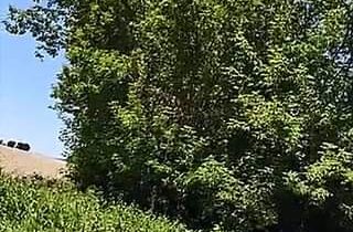 Objavte viac v sekcii Video