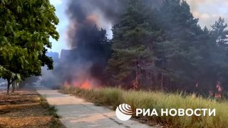 Záchranári hasia lesný požiar pri Energodare po tom, čo ukrajinskí vojaci ostreľ…