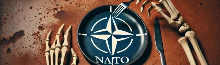 V NATO nie je čo oslavovať