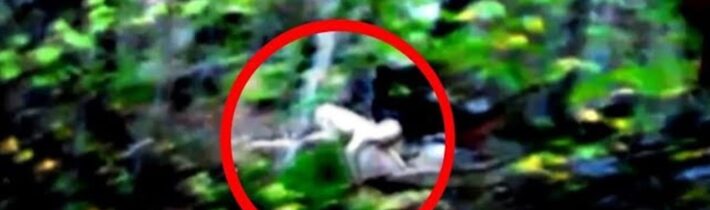 10 Záhadných Stvoření Zachycených na Kameru!