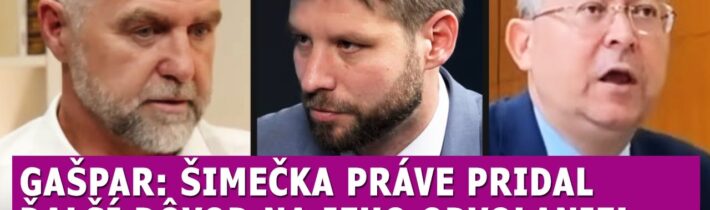 Gašpar: Šimečka práve pridal ďalší dôvod na jeho odvolanie, Kamenický šokovaný z návrhu SaS