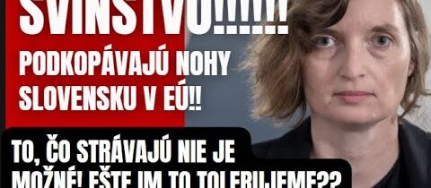 SVINSTVO! Podkopávajú nám nohy v EÚ! To čo stvárajú nie je možné! Ešte im to tolerujeme?!!