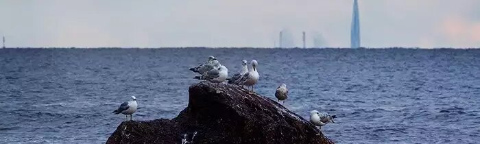 Estónsky generál je pripravený uzavrieť Fínsky záliv pre ruské lode