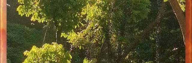 #cikady #dazd #zaujimavosti Novinky zo sveta VideoBlog