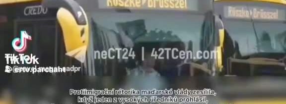 Pavel Magat Video Blog