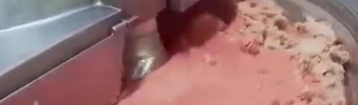 TAKTO SE VYRÁBÍ PAŘÍŽER Z "ČISTÉHO MASA". DOBROU CHUŤ A DOBROU CHUŤ! 🤢🤢🤢