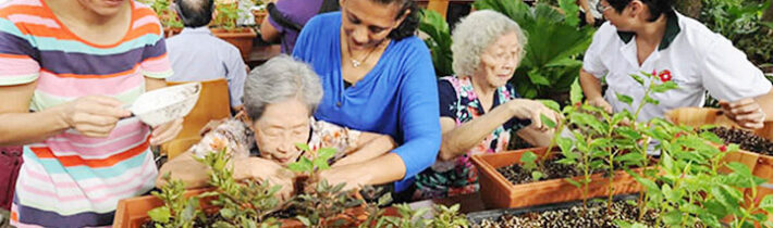 Hortiterapia – záhradnícka terapia alebo liečba prírodou