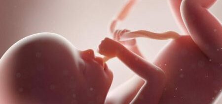 Zlo potratov nesmie zvíťaziť našou nečinnosťou