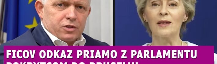 Jeden odkaz Fica pokrytcom do Bruselu, Šimkovičová narobila poriadky s Dostálom