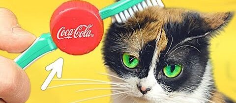 6 JEDNODUCHÝCH LIFEHACKŮ