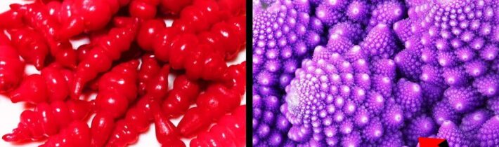 TOP 5 Neobvyklé Druhy Zeleniny, Které Uvidíš Poprvé V Životě