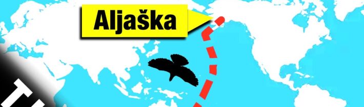 Ptačí letecký rekord/ Monitorování metanu na Zemi/ Čínská vesmírná stanice hotova  [TIP 328]