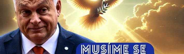 NAPRAVO S Kateřinou Dostálovou