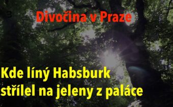 Tajemství Prahy: Když líný císař lovil jeleny přímo z palácového okna