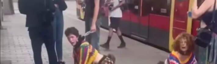 Kvadrobery: hra na zvieratá ako riadené šialenstvo – prečo sa propaguje práve teraz?