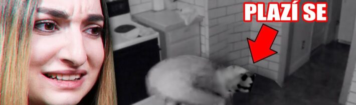 JEJÍ BRATR SE CHOVÁ DIVNĚ.. *strašidelné*