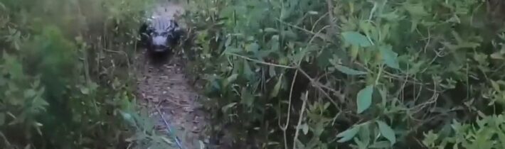 20/10 Na kafe s Pavlem TOUR: Žďár nad Sázavou