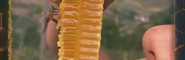 #med #zdravie #zaujimavosti Novinky zo sveta VideoBlog