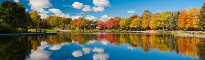 Dopoludnie na InfoVojne s Adrianom 15.10.2024