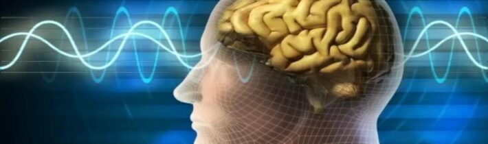 Necenzurované net CXXIII – 29.09.2024