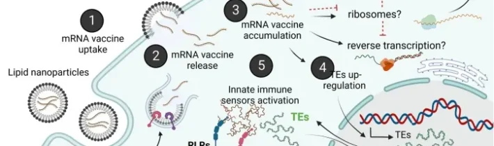 TEMNÁ REALITA TECHNOLOGIE “VAKCÍNY” MRNA: VLOŽENÝ DIVERGENTNÍ GENETICKÝ KÓD V LIDSKÉM EXOMU