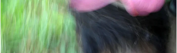 Machiavelli – o žalobách a ohováraní