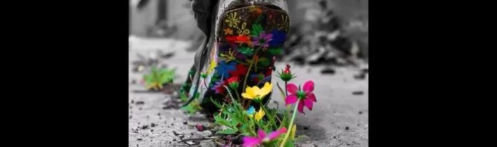 17.10.2024 Nechoď tam, kde ťa nevolajú!