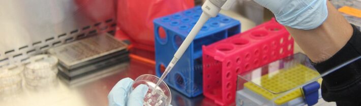 Zoufalý průmysl s laboratorně pěstovaným masem se dožaduje vládních dotací, aby přežil