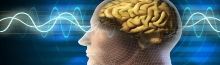 Necenzurované net CXXIV – 24.11.2024