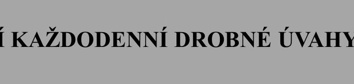 Druhý pohled z 9.11: Před volbami a po volbách