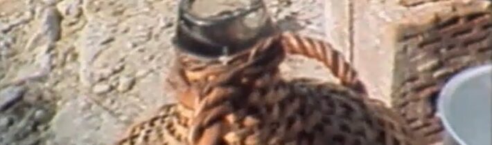 Nedovolená výroba slivovice (1984)