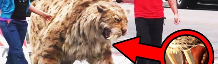 TOP 5 Vymřelá Zvířata, Která Vědci V Blízké Době Oživí