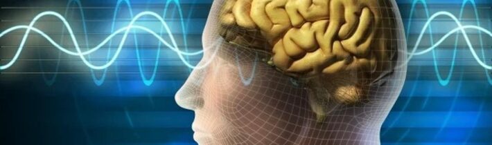 2024-11-24-Necenzurovane-net-CXXIV  Jaká je ještě neděje na přežití? Co udržuje při životě tento systém?