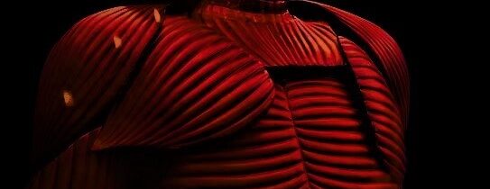 Drákulova fantaskní zbroj – Kabinet Kuriozit