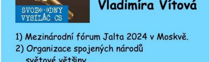 2024-11-14 – Vladimira Vitova Komentare Ceskoslovenskeho miroveho fora —- doporucuju skveli pořad